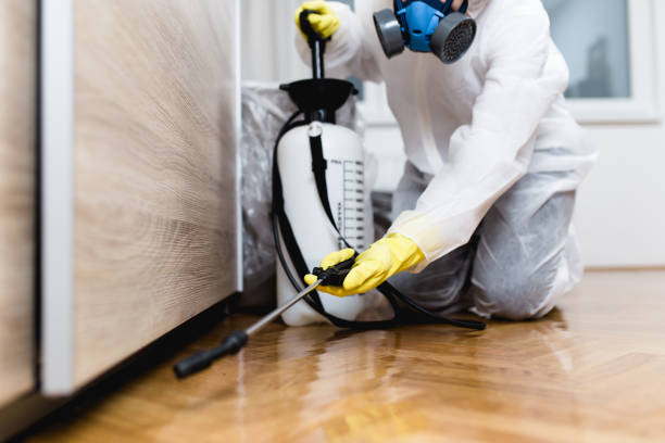  Franconia, VA Pest Control Pros
