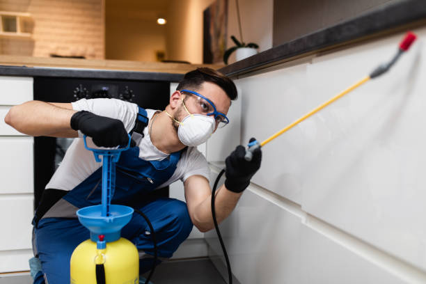 Best Affordable Pest Control Services  in Franconia, VA
