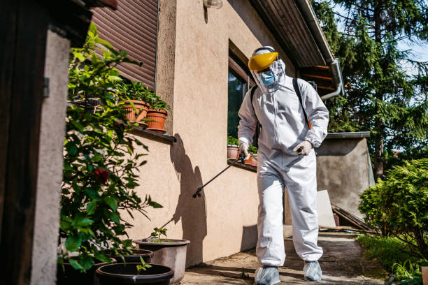 Best Residential Pest Control  in Franconia, VA