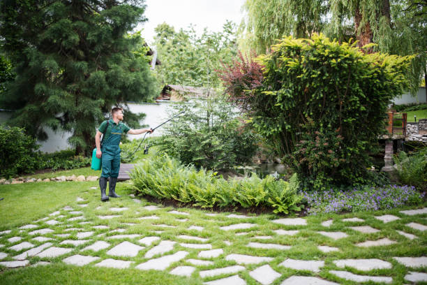 Best Ant Control Services  in Franconia, VA