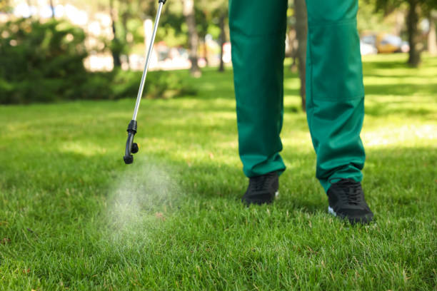 Best Rat Extermination Near Me  in Franconia, VA
