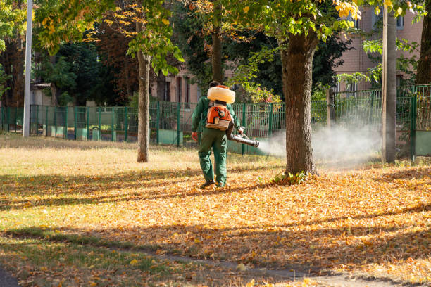 Best Wasp Removal Services  in Franconia, VA