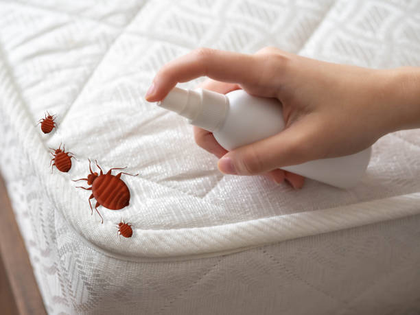 Trusted Franconia, VA Pest Control Experts