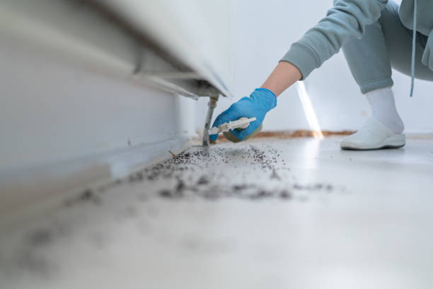 Pest Control for Restaurants in Franconia, VA