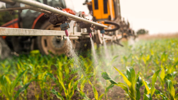 Best Pest Control Treatment  in Franconia, VA